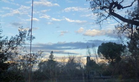 View-From-Home-Office-Window