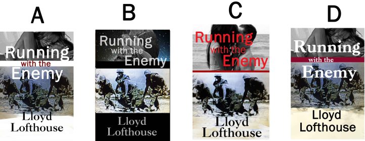 Resized and Low Res 4  Covers for Voting on 1-17